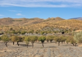 Casa de camp amb terreny en venda a la España, Senés, ref.: TR76183 foto