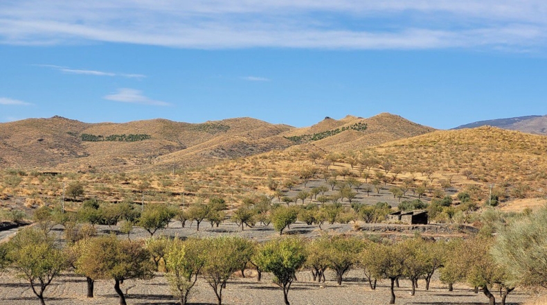 Almería - Senés - 104000m2