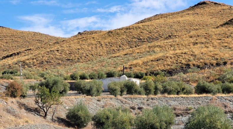 Almería - Senés - 104000m2