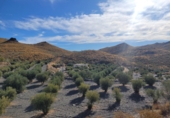 Casa de camp amb terreny en venda a la España, Senés, ref.: TR76183 foto