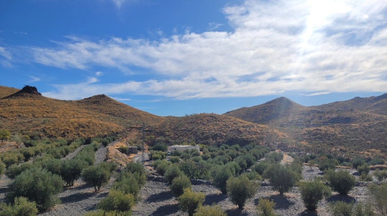 Almería - Senés - 104000m2