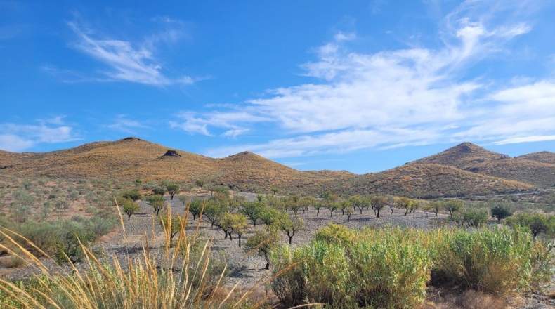 Almería - Senés - 104000m2