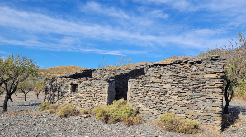 Almería - Senés - 104000m2