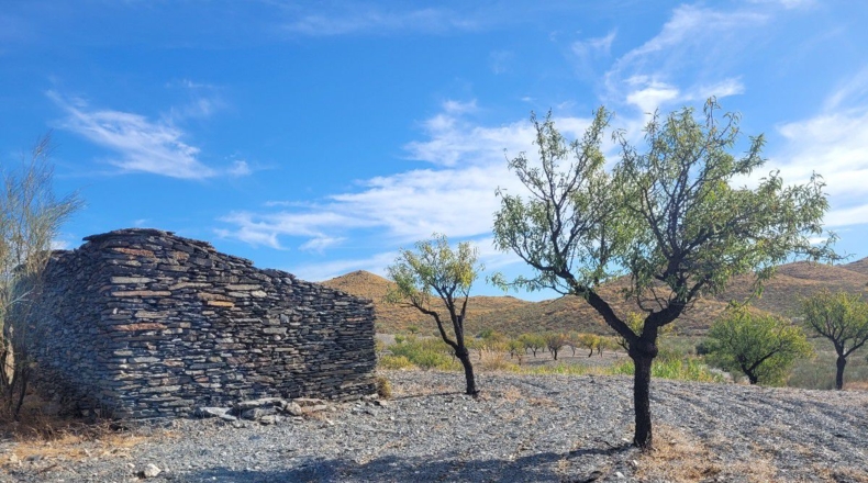 Almería - Senés - 104000m2