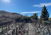 Casa de camp amb terreny en venda a la España, Senés, ref.: TR102425 foto