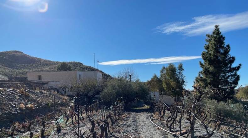 Almería - Senés - 5500m2