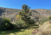 Casa de camp amb terreny en venda a la España, Sorbas, ref.: TR102426 foto