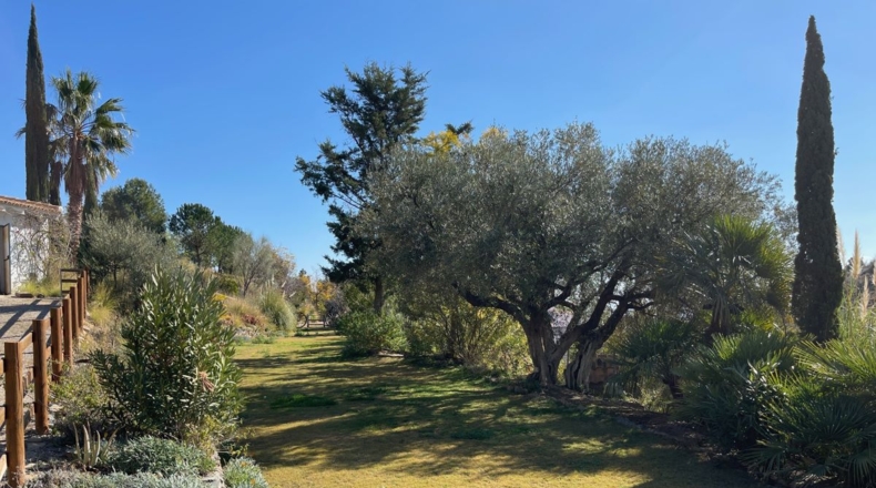 Almería - Sorbas - 18000m2