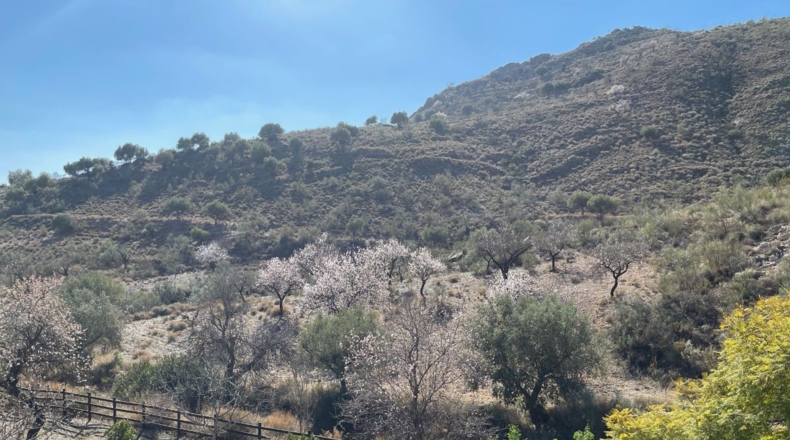 Almería - Sorbas - 18000m2