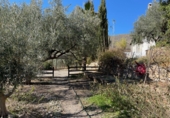 Casa de camp amb terreny en venda a la España, Sorbas, ref.: TR102426 foto