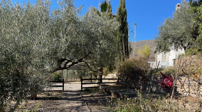 Almería - Sorbas - 18000m2