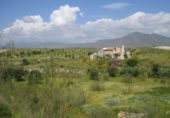 Casa de camp amb terreny en venda a la España, Sorbas, ref.: TR252990 foto
