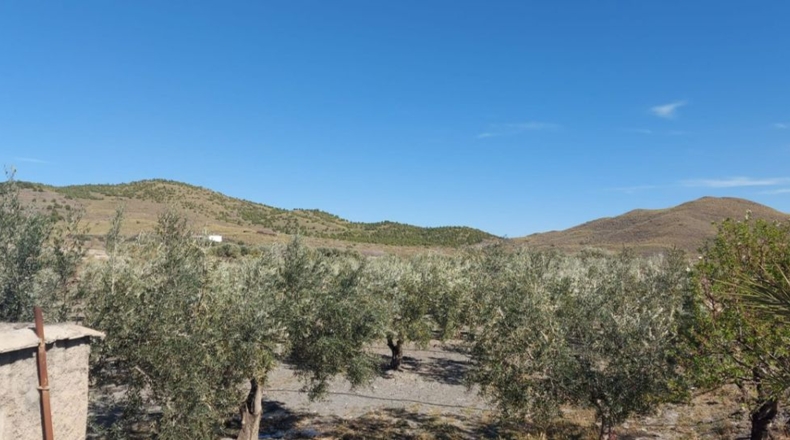 Almería - Gérgal - 21248m2