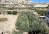 Casa de camp amb terreny en venda a la España, Sorbas, ref.: TR367042 foto