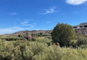 Casa de camp amb terreny en venda a la España, Sorbas, ref.: TR367042 foto