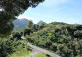 Casa de camp amb terreny en venda a Turre ref.: TR252992 foto