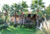 Casa de camp amb terreny en venda a Turre ref.: TR252992 foto