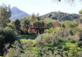 Casa de camp amb terreny en venda a Turre ref.: TR252992 foto