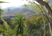 Casa de camp amb terreny en venda a Turre ref.: TR252992 foto
