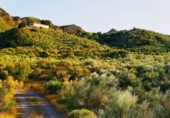 Casa de camp amb terreny en venda a Turre ref.: TR252992 foto