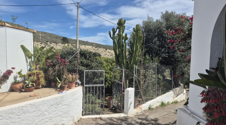 Almería - Los Gallardos - 289m2
