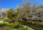 Casa de poble en venda a la España, Sorbas, ref.: TR255548 foto