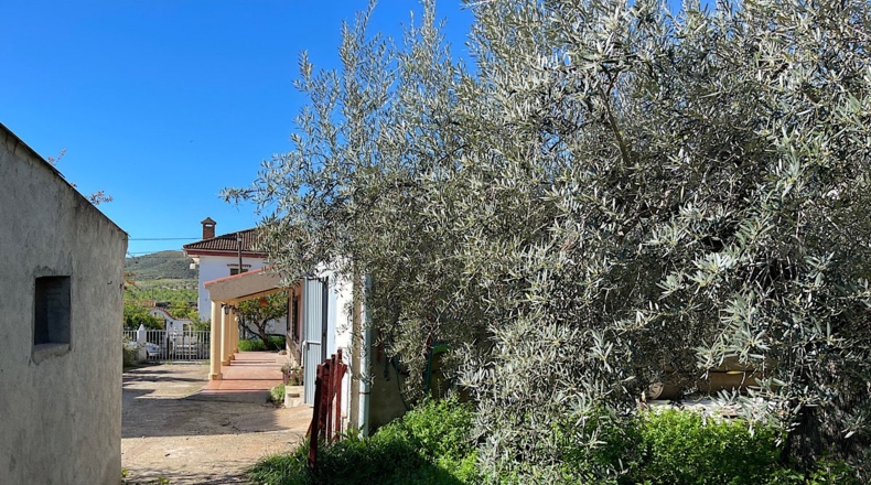 Almería - Sorbas - 738m2