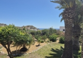 Casa de camp amb terreny en venda a Mojácar ref.: TR234993 foto
