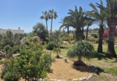 Casa de camp amb terreny en venda a Mojácar ref.: TR234993 foto