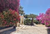 Casa de camp amb terreny en venda a Mojácar ref.: TR234993 foto