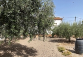 Casa de poble en venda a la España, Lubrín, ref.: TR323066 foto