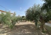 Casa de poble en venda a la España, Lubrín, ref.: TR323066 foto