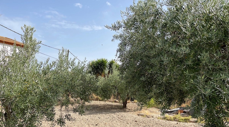 Almería - Lubrín - 511m2