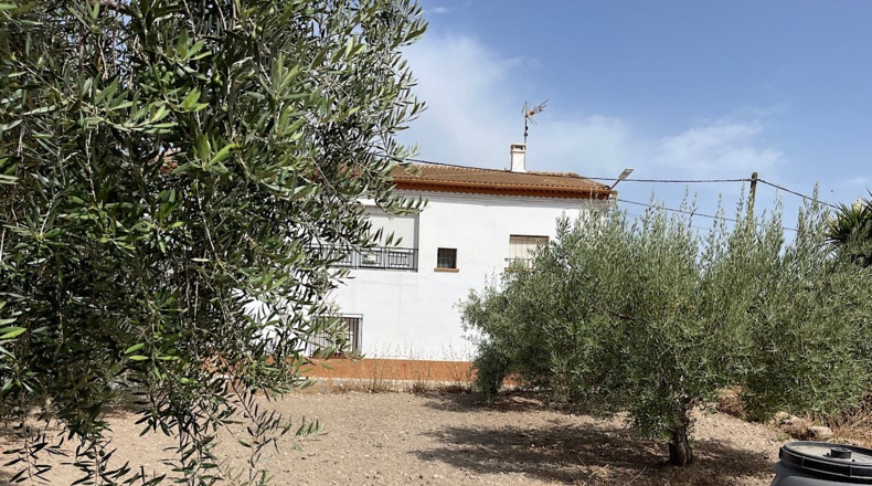 Almería - Almería - 223m2