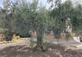 Casa de poble en venda a la España, Almeria, ref.: TR321638 foto