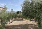 Casa de poble en venda a la España, Almeria, ref.: TR321638 foto
