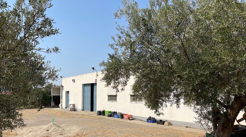 Almería - Tabernas - 14500m2
