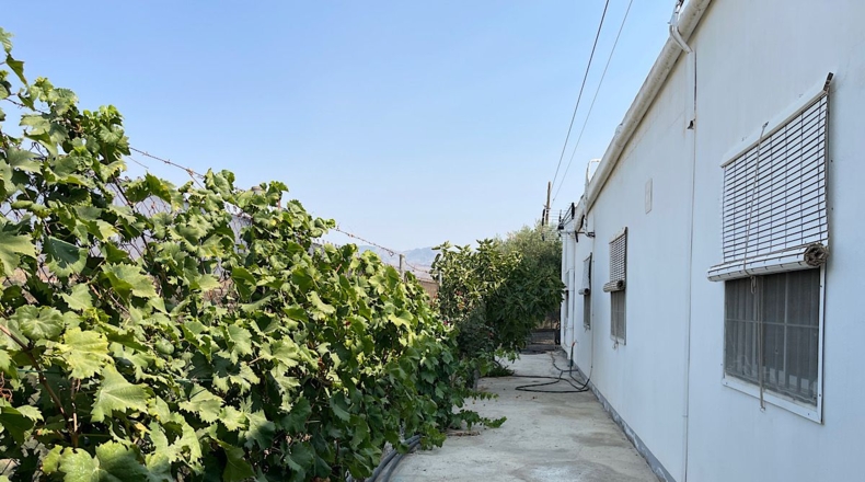 Almería - Tabernas - 14500m2