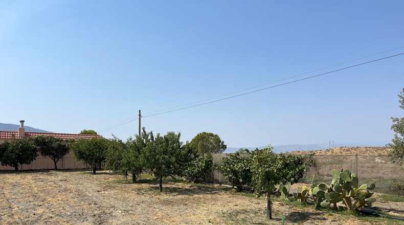 Almería - Tabernas - 14500m2