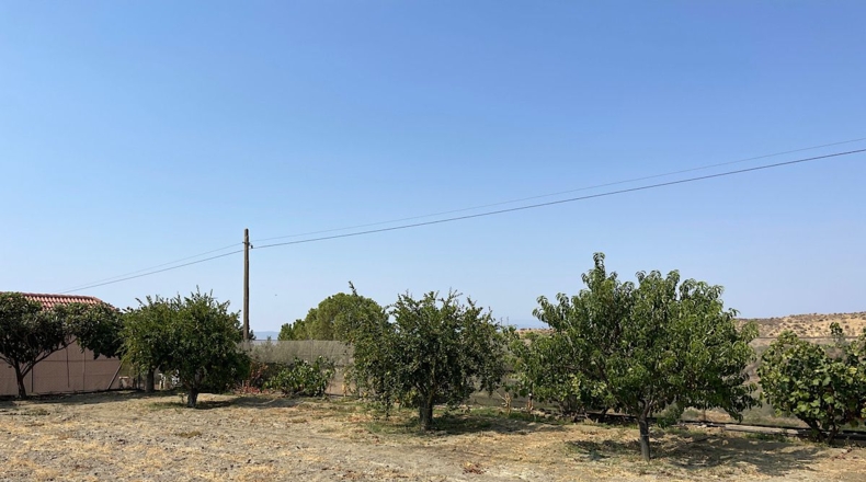Almería - Tabernas - 14500m2