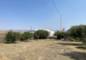Casa de camp amb terreny en venda a la España, Tabernas, ref.: TR327070 foto
