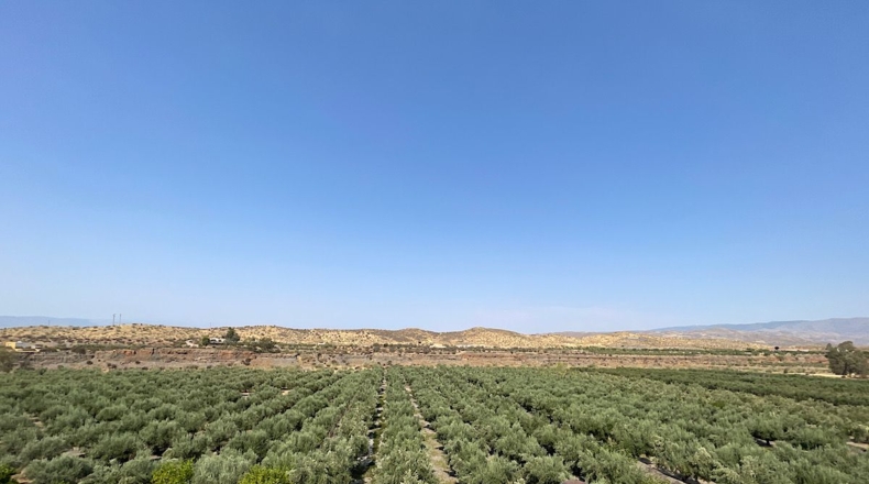 Almería - Tabernas - 14500m2