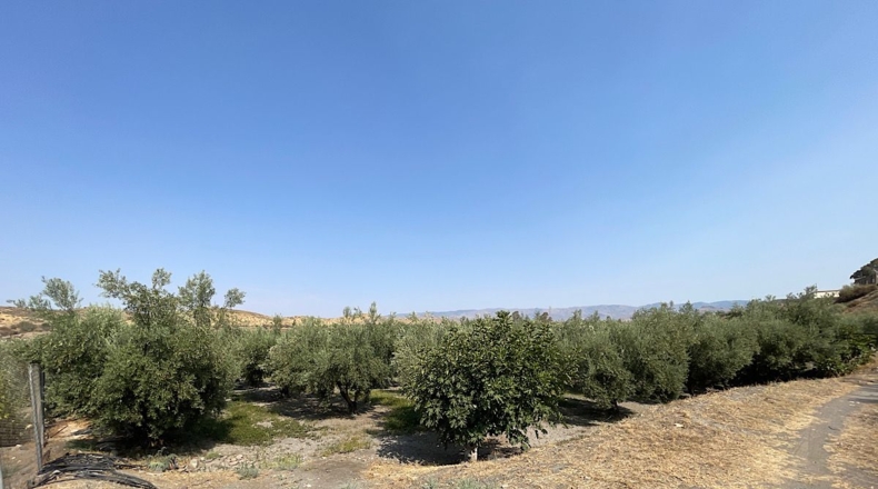Almería - Tabernas - 14500m2