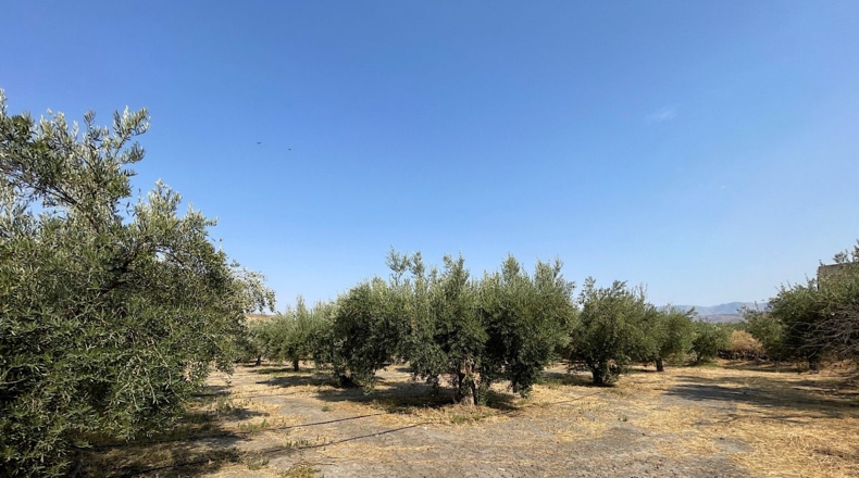 Almería - Tabernas - 14500m2