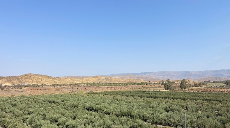 Almería - Tabernas - 14500m2
