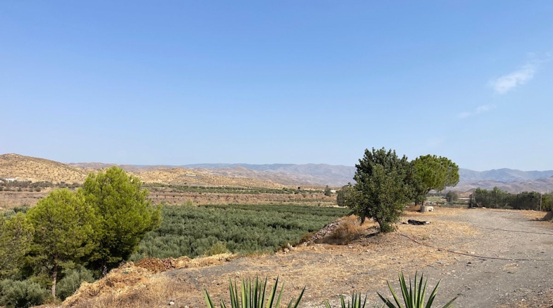 Almería - Tabernas - 14500m2