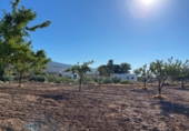 Casa de campo con terreno en venta en Turrillas ref: TR336800 foto