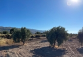 Casa de campo con terreno en venta en Turrillas ref: TR336800 foto