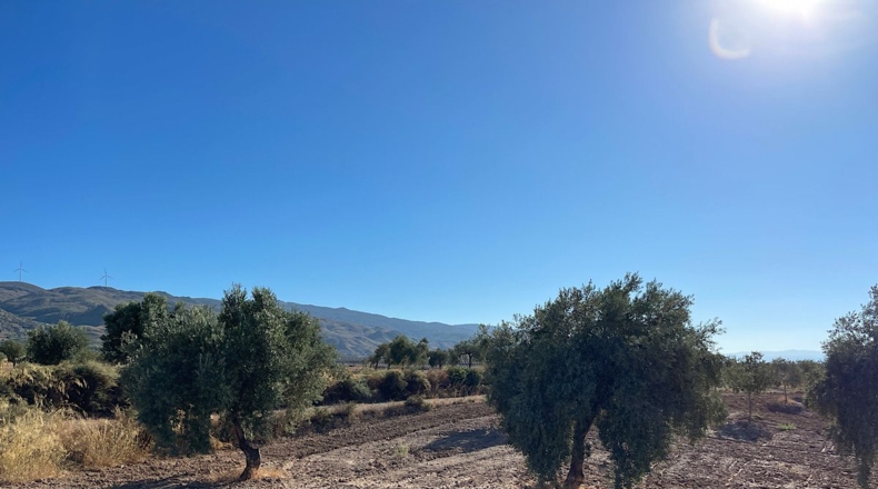 Almería - Turrillas - 132m2