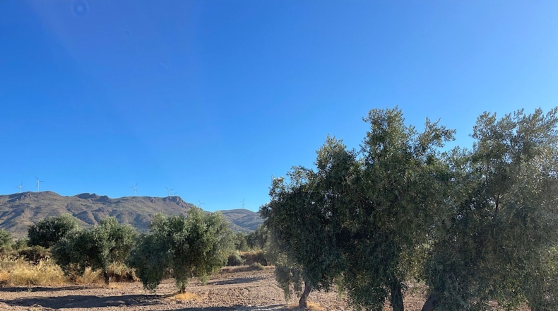 Almería - Turrillas - 132m2